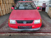 ⭐Schlachtfest⭐VW Polo⭐6N1⭐1995⭐AEV⭐CWN⭐LP3G⭐Motor⭐Getriebe⭐Achse⭐ Hessen - Münster Vorschau