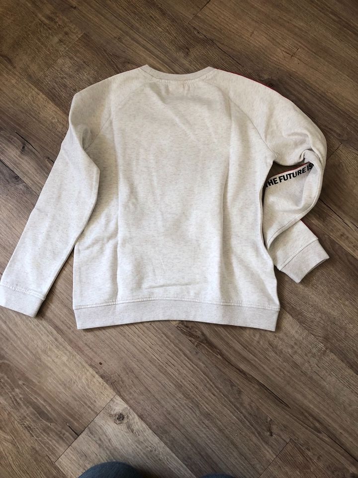 Sweatshirt/Pullover Größe 146/152 in Gosheim