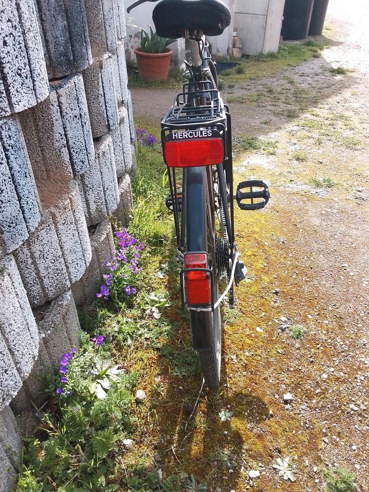 Herrenfahrrad von Hercules in Fürfeld