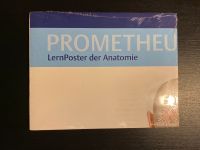 Anatomie Lernposter Baden-Württemberg - Mannheim Vorschau