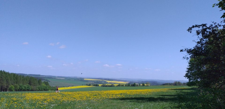 Helle und sonnige Ferienwohnung im Erzgebirgsstädtchen Thum in Thum