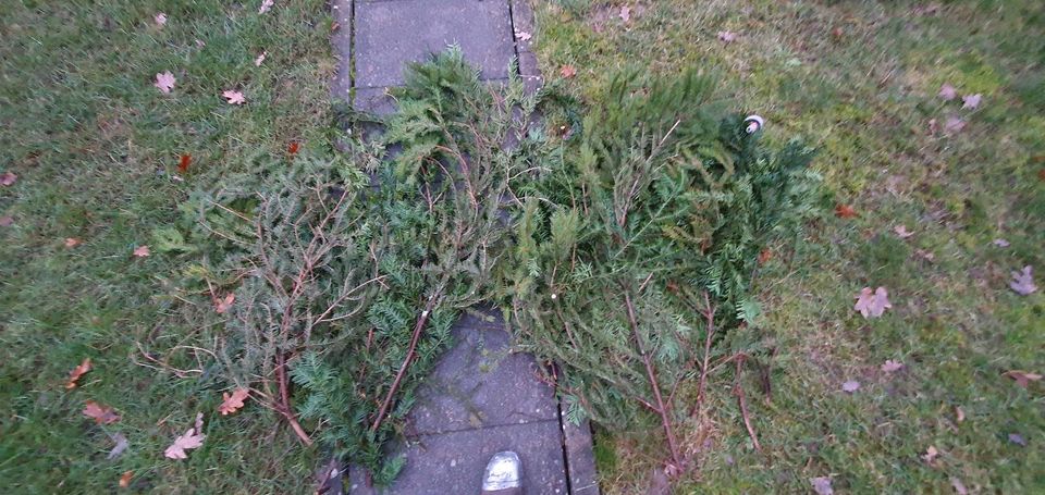 Deckreisig/Wedel Weihnachts- oder Adventsgesteck, Friedhof in Schorndorf