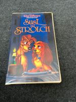 VHS Susi und Strolch Nordrhein-Westfalen - Netphen Vorschau