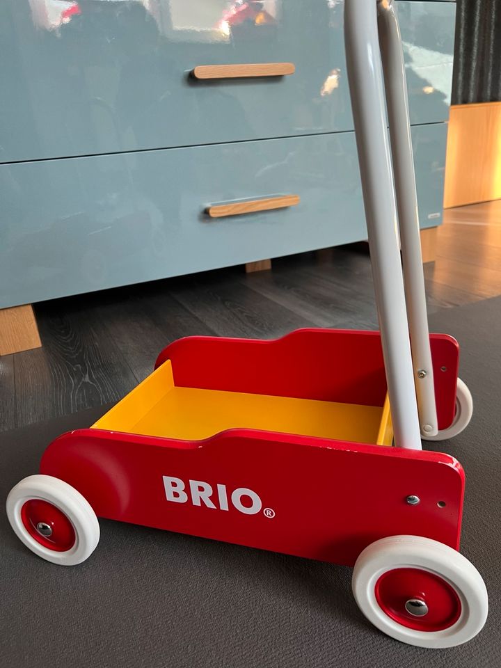 Brio Lauflernwagen in St. Leon-Rot