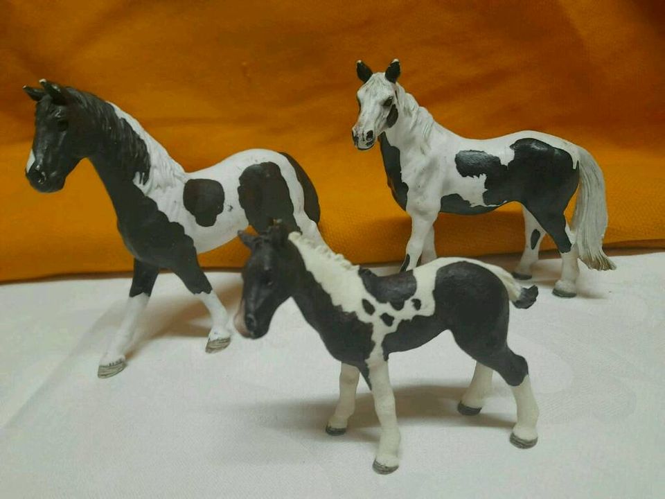 Schleich-Pferde Trakehner Pinto Mustang exclusiv Tinker exklusiv in Drensteinfurt