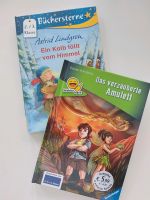 Neu Bücher Set Erstleser Einschulung Astrid Lindgren Lesen Lernen Hessen - Rödermark Vorschau