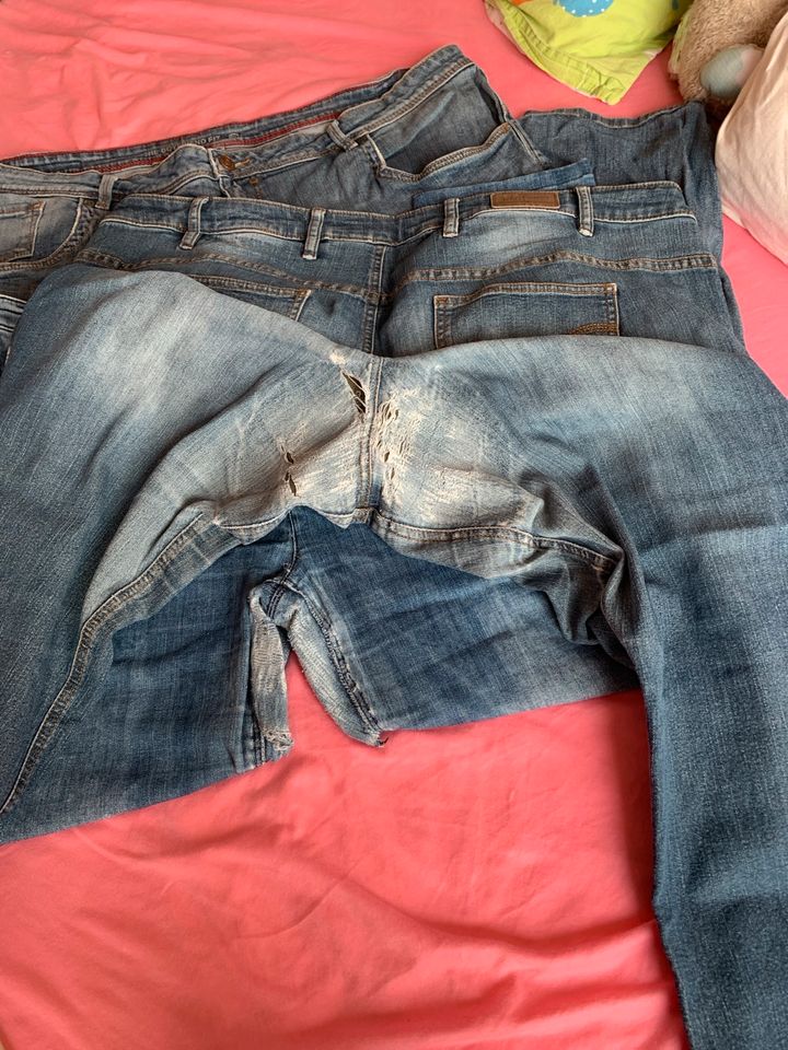 Jeans in Größe 50,4 Stück in Hannover