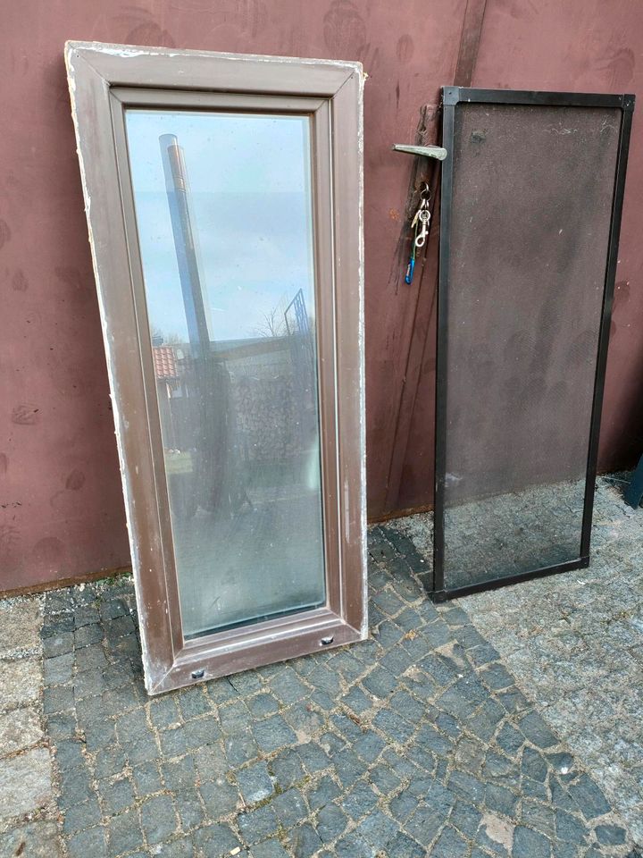 Plastikfenster mit Rahmen 500x1200 mit Fliegenfenster in Doberschau