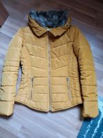 Damen Winter- Steppjacke Winter v. S. Oliver Neuwertig XS Brandenburg - Cottbus Vorschau