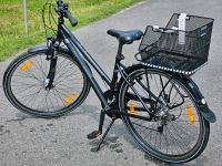 Pegasus Piazza 21 Rh 45 Citybike Damenfahrrad Brandenburg - Großbeeren Vorschau