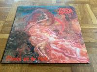 LP Schallplatte Vinyl - Morbid Angel - Blessed are the Sick Rheinland-Pfalz - Melsbach Vorschau