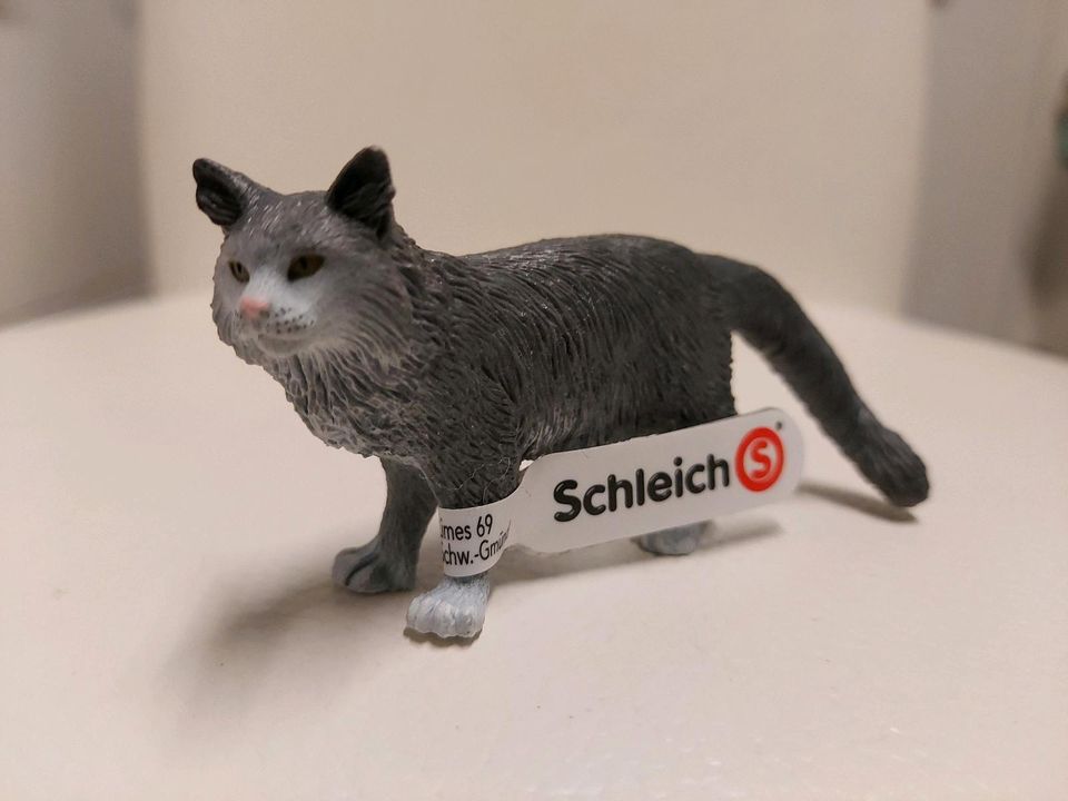 NEU Schleich 13893 Maine Coon Katze Farm Figur Spielfigur grau in Frankfurt am Main