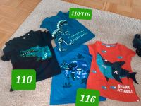 4 T-shirts 110 Nordrhein-Westfalen - Schloß Holte-Stukenbrock Vorschau