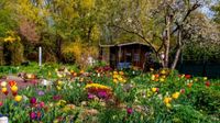 SUCHE: Schrebergarten Grundstück in Miltenberg Bayern - Miltenberg Vorschau