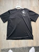 Puma Drycell Sport Tshirt Schwarz Leipzig - Gohlis-Mitte Vorschau