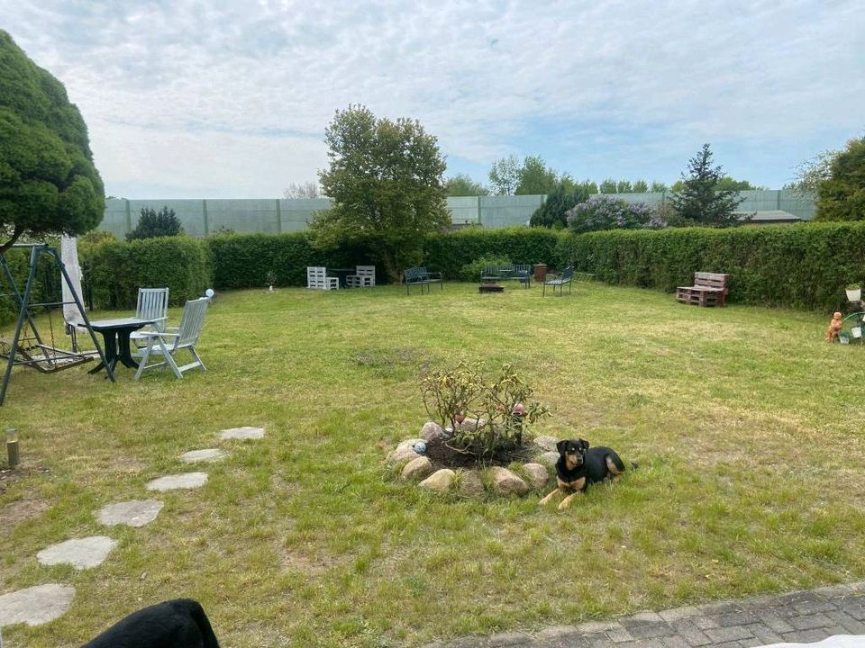 ⭐ Garten mit Bungalow in Velten Besichtigung am 19.05.24 um 11:00 Uhr ⭐ in Velten