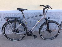 Drössiger Comfort Basis, Shimano 8 Gang, Baden-Württemberg - Offenburg Vorschau