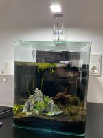 Aquarium Dennerle Nano Cube 30 Liter - Komplett-Set Köln - Ehrenfeld Vorschau