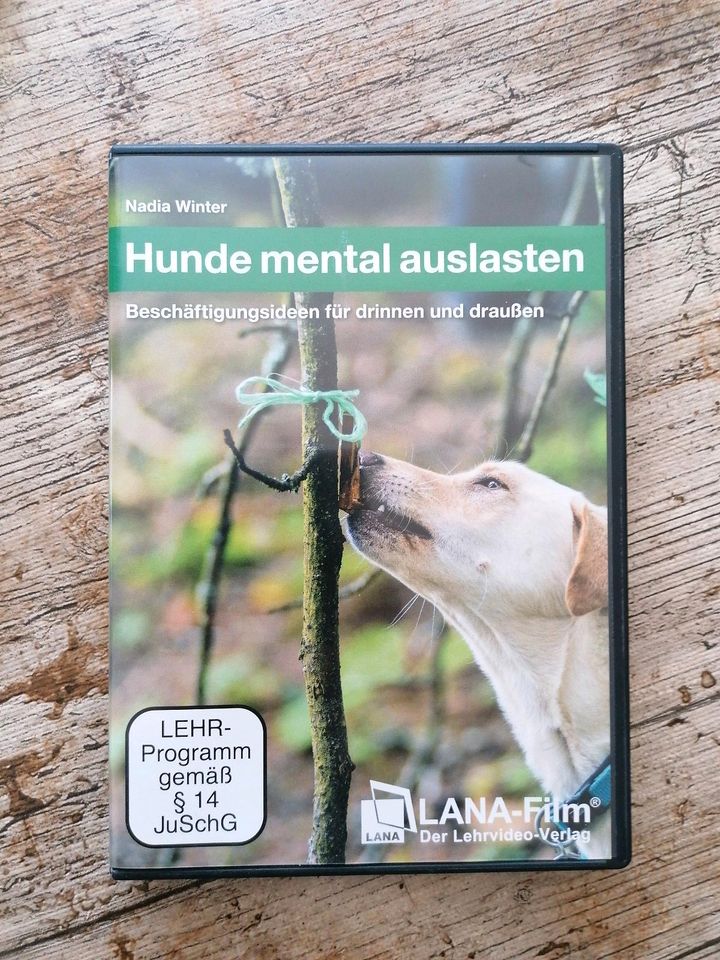 DVD hund hunde mental auslasten Nadia winter in Rohrsen