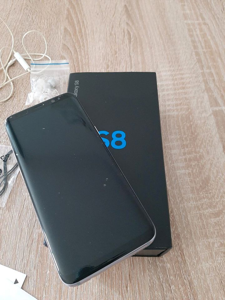 Samsung Galaxy S8 in Süderlügum