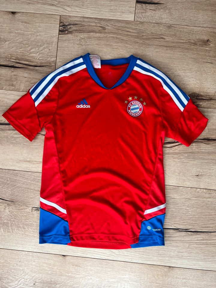 FC Bayern München Anzughose+T-Shirt Gr. 152 in Böblingen