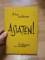 Buch Artur Landsberger Asiaten Ein Liebesroman aus zwei Welten Sachsen-Anhalt - Halle Vorschau