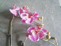 Orchideen * pinkfarben * Kunstblumen Leipzig - Leipzig, Zentrum Vorschau