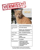 Rote Katze Roter Kater GESUCHT/VERMISST Koblenz Rheinland-Pfalz - Koblenz Vorschau