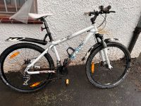 Scott Contessa MTB 26 Zoll Hessen - Gudensberg Vorschau