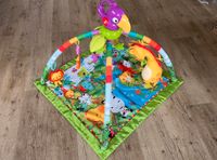 Rainforest Fisher Price Spielebogen/Erlebnisdecke Mecklenburg-Vorpommern - Neuburg (Nordwestmecklenburg) Vorschau