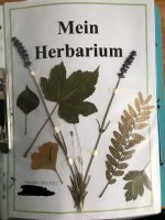 Herbarium Garten und Landschaftsbau Bäume Bayern - Schwabach Vorschau