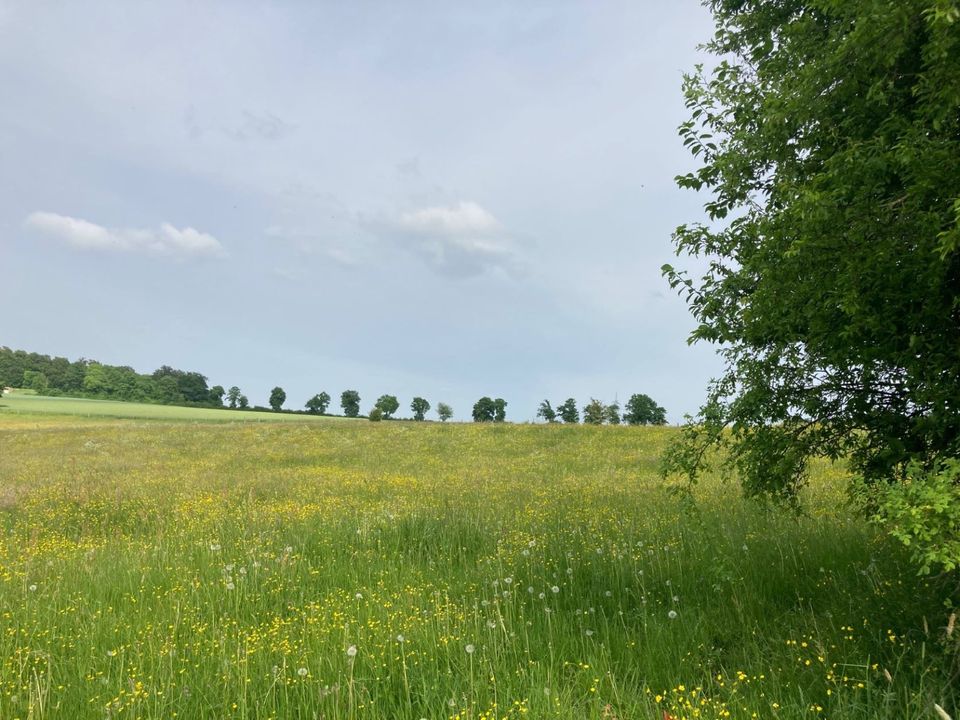 EIN HAUS MIT WOHLFÜHLGARANTIE! in Schlüchtern