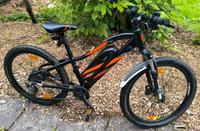 Prophete Graveler  24" Zoll Junior E-Bike E-MTB Mountainbike Kind Nordrhein-Westfalen - Herne Vorschau
