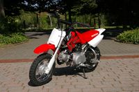 HONDA CRF50 Kindercross - Neufahrzeug - MY 2023 Niedersachsen - Bad Laer Vorschau