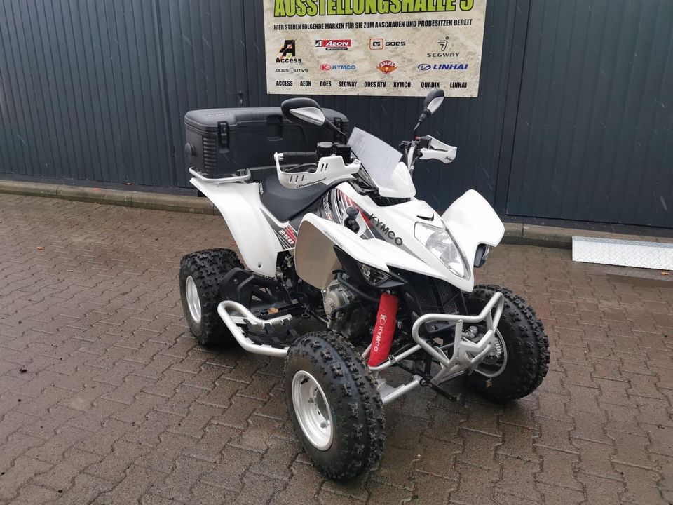 Quad ATV kymco Maxxer 250 in Aspach