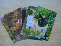 10x AK Karte Postkarte Katze Katzen Korsch 70er Jahre vintage NEU Aachen - Kornelimünster/Walheim Vorschau