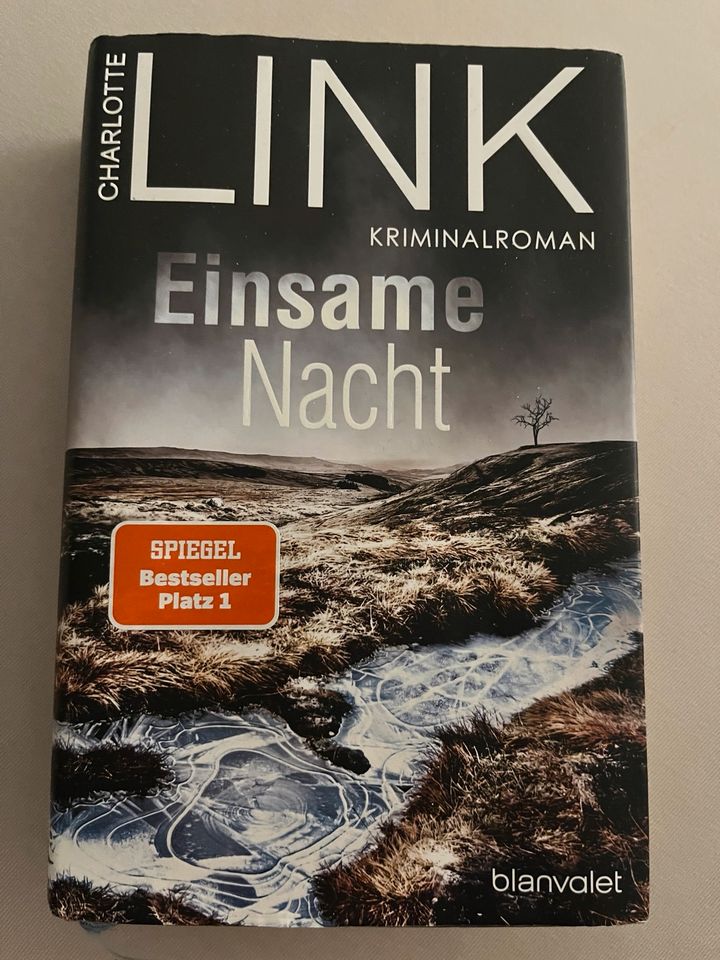 Charlotte Link, Einsame Nacht in Falkensee