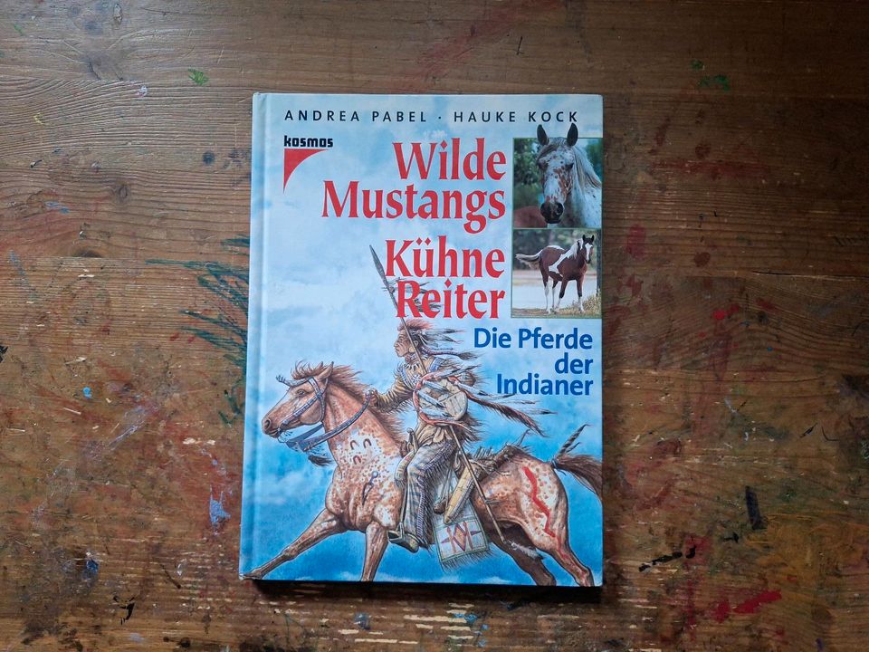 Wilde Mustangs, kühne Krieger. Die Pferde der Indianer in Biebergemünd