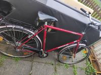 Fahrrad Hercules Niedersachsen - Leer (Ostfriesland) Vorschau