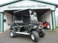 Golfcart RTX 400, Elektrofahrzeug, Golfcar Sachsen - Markneukirchen Vorschau