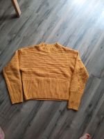 Pulli 152/158 Bayern - Olching Vorschau