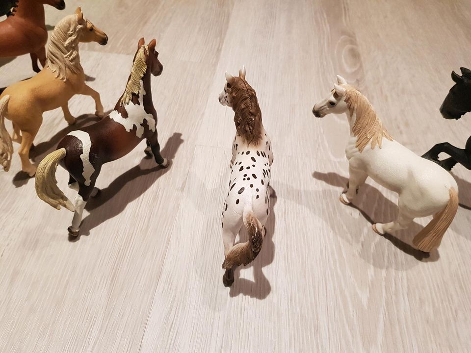 Schleich Hengst in Vögelsen