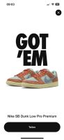 Nike SB Dunk Low Pro Noise Aqua EUR 42 US 8.5 UK 7.5 Mitte - Moabit Vorschau