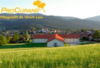 Krankenschwester / Krankenpfleger (m/w/d) in Lam Bayern - Lam Vorschau