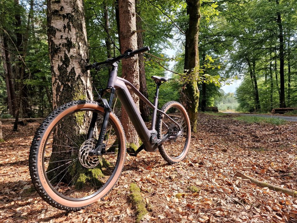 Cube Reaction Hybrid 750Wh E-MTB in Rodenbach