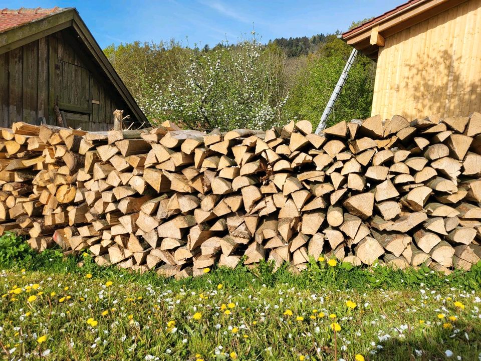 Brennholz, Kaminholz trockenes Fichten - und Buchenbrennholz in Bernried Niederbay