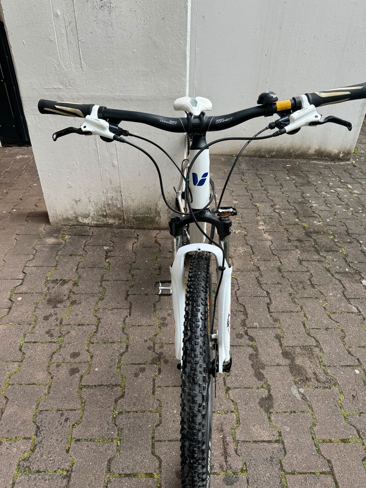 MTB Fahrrad zu Verkauf in Frankfurt am Main