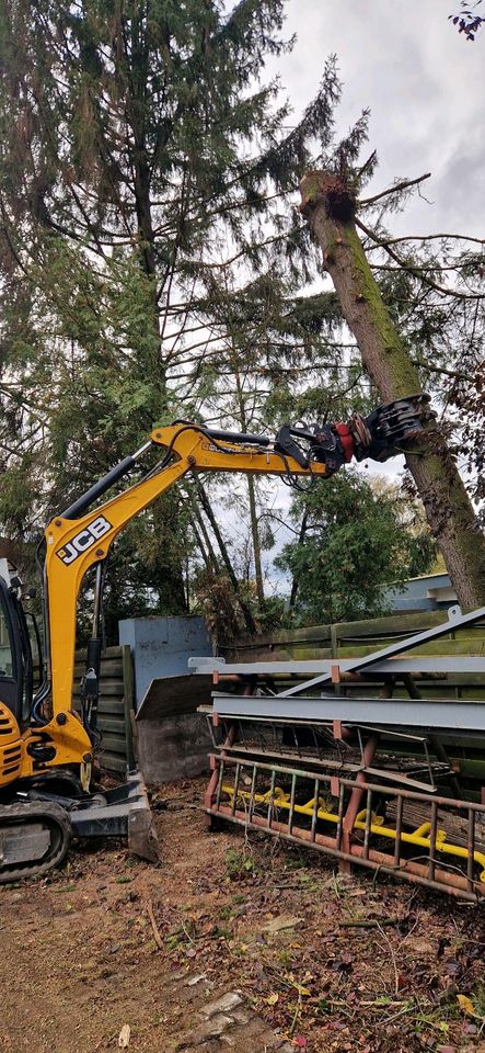 Baumfällung, Baum fällen, Baumpflege, Forstarbeiten in Beckum