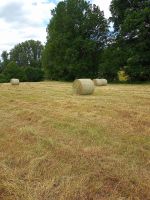 Heuballen- rund- 13.6.2023 gepresst Hessen - Neuhof Vorschau