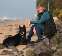 Mobile Hundeschule/ Hundetrainer-in, individuellesTraining Kreis Pinneberg - Bönningstedt Vorschau